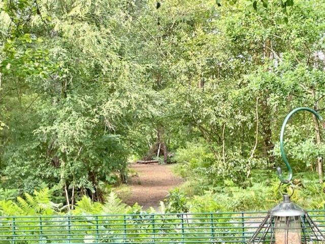 Forest View At Oakdene Forest Park - Leisure Passes Included! ริงวูด ภายนอก รูปภาพ