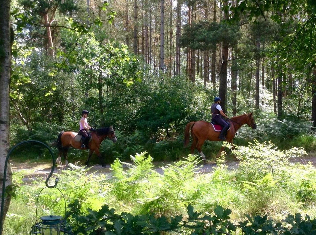 Forest View At Oakdene Forest Park - Leisure Passes Included! ริงวูด ภายนอก รูปภาพ